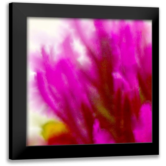 Tenoever, William 12x12 Black Modern Framed Museum Art Print Titled - Owl Clover in Bloom 3