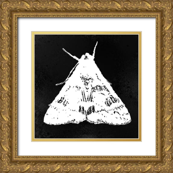 Tenoever, William 12x12 Gold Ornate Wood Framed with Double Matting Museum Art Print Titled - ColorMoods:Moth2
