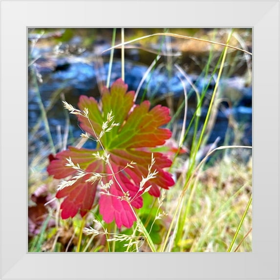 Tenoever, William 12x12 White Modern Wood Framed Museum Art Print Titled - Greer in Fall 14