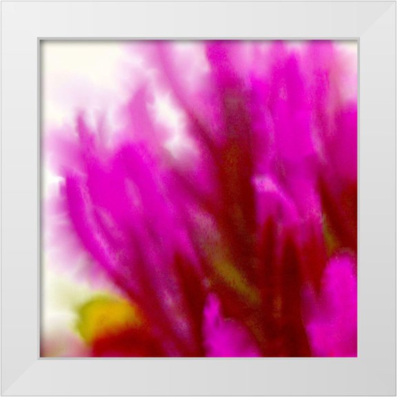 Tenoever, William 12x12 White Modern Wood Framed Museum Art Print Titled - Owl Clover in Bloom 3