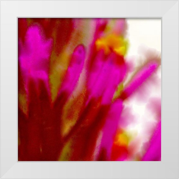 Tenoever, William 12x12 White Modern Wood Framed Museum Art Print Titled - Owl Clover in Bloom 5