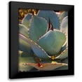 thumbnail image 1 of Tenoever, William 12x14 Black Modern Framed Museum Art Print Titled - Mescal Agave A, 1 of 5