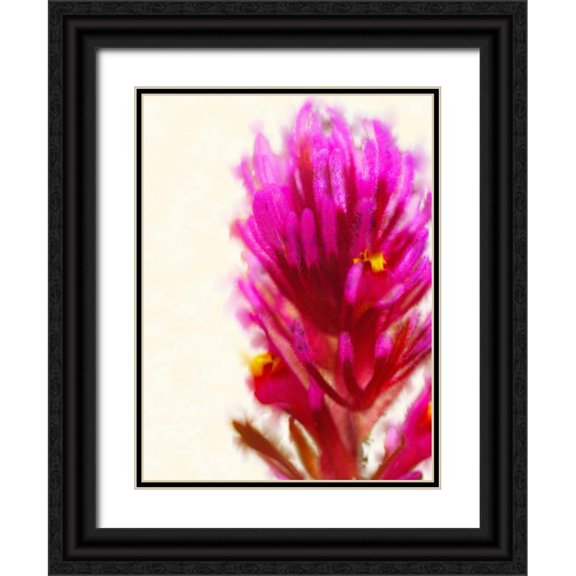 Tenoever, William 12x14 Black Ornate Wood Framed with Double Matting Museum Art Print Titled - Owl Clover in Bloom 1