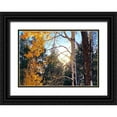 thumbnail image 1 of Tenoever, William 14x11 Black Ornate Wood Framed with Double Matting Museum Art Print Titled - Greer in Fall 3, 1 of 4
