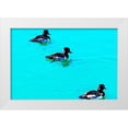 thumbnail image 1 of Tenoever, William 14x11 White Modern Wood Framed Museum Art Print Titled - ColorMoods:Ducks2, 1 of 4