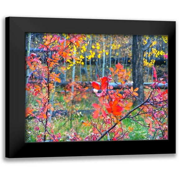 Tenoever, William 14x12 Black Modern Framed Museum Art Print Titled - Fall Somewhere