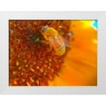 thumbnail image 1 of Tenoever, William 14x12 White Modern Wood Framed Museum Art Print Titled - BeeOnSunflower1, 1 of 4