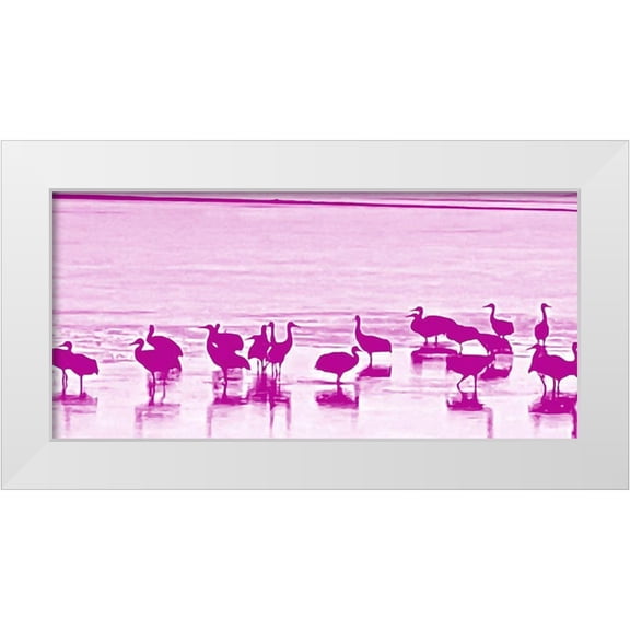 Tenoever, William 14x9 White Modern Wood Framed Museum Art Print Titled - Sand Hill Cranes in Willcox 1a