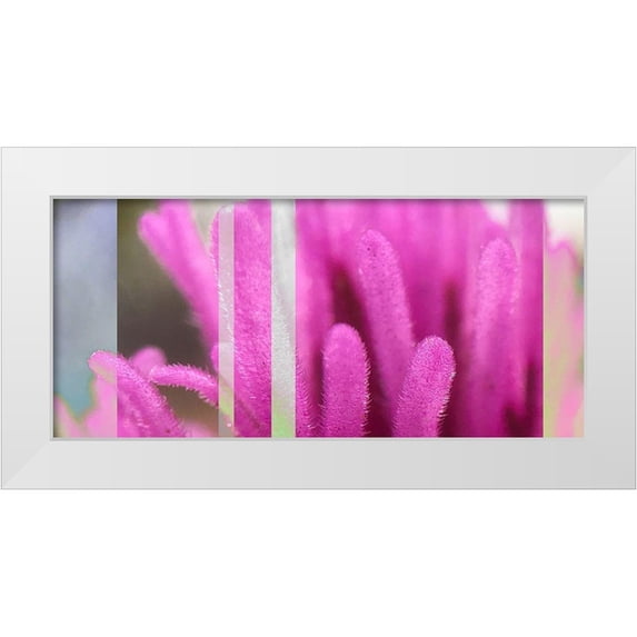 Tenoever, William 14x9 White Modern Wood Framed Museum Art Print Titled - Stripes: Owl Clover A
