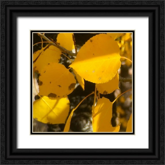 Tenoever, William 15x15 Black Ornate Wood Framed with Double Matting Museum Art Print Titled - Aspens In The Fall 15