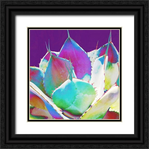 Tenoever, William 15x15 Black Ornate Wood Framed with Double Matting Museum Art Print Titled - Color Moods: Cactus 1