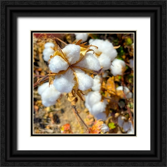 Tenoever, William 15x15 Black Ornate Wood Framed with Double Matting Museum Art Print Titled - CottonFields4