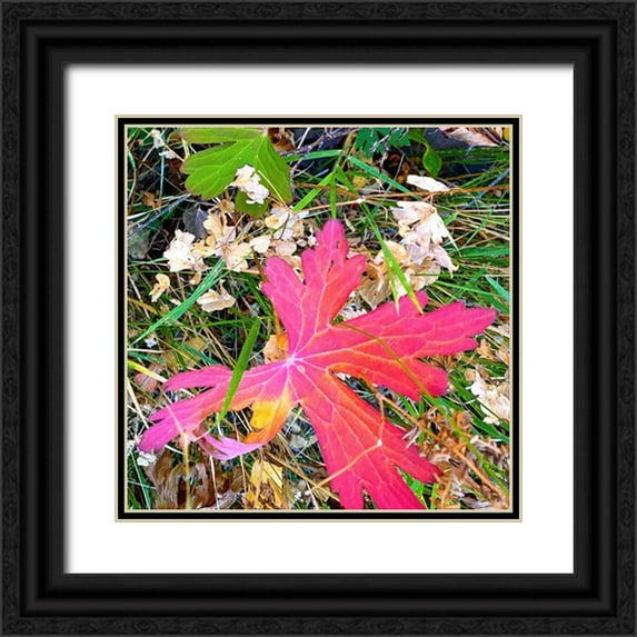 Tenoever, William 15x15 Black Ornate Wood Framed with Double Matting Museum Art Print Titled - Greer in Fall 15