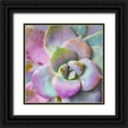 thumbnail image 1 of Tenoever, William 15x15 Black Ornate Wood Framed with Double Matting Museum Art Print Titled - Moods Succulent I, 1 of 4