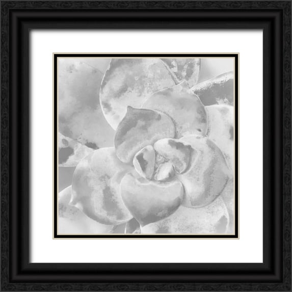 Tenoever, William 15x15 Black Ornate Wood Framed with Double Matting Museum Art Print Titled - Moods Succulent V
