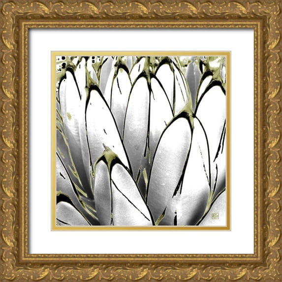 Tenoever, William 15x15 Gold Ornate Wood Framed with Double Matting Museum Art Print Titled - Color Moods: Cactus 7b Gold Type