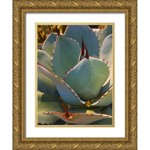 Tenoever, William 15x18 Gold Ornate Wood Framed with Double Matting Museum Art Print Titled - Mescal Agave A