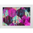 thumbnail image 1 of Tenoever, William 18x13 White Modern Wood Framed Museum Art Print Titled - Hexaflora1, 1 of 4