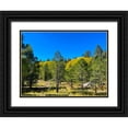thumbnail image 1 of Tenoever, William 18x15 Black Ornate Wood Framed with Double Matting Museum Art Print Titled - AspensInTheFall20, 1 of 4