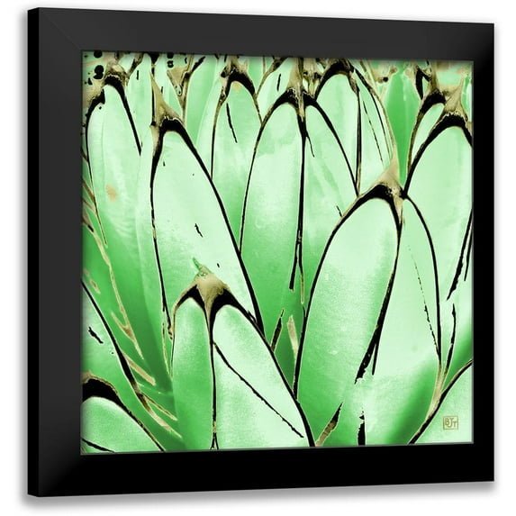Tenoever, William 20x20 Black Modern Framed Museum Art Print Titled - Color Moods: Cactus 7d Gold Type