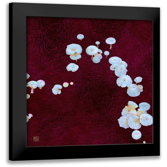 Tenoever, William 20x20 Black Modern Framed Museum Art Print Titled - White Mushrooms Ver4
