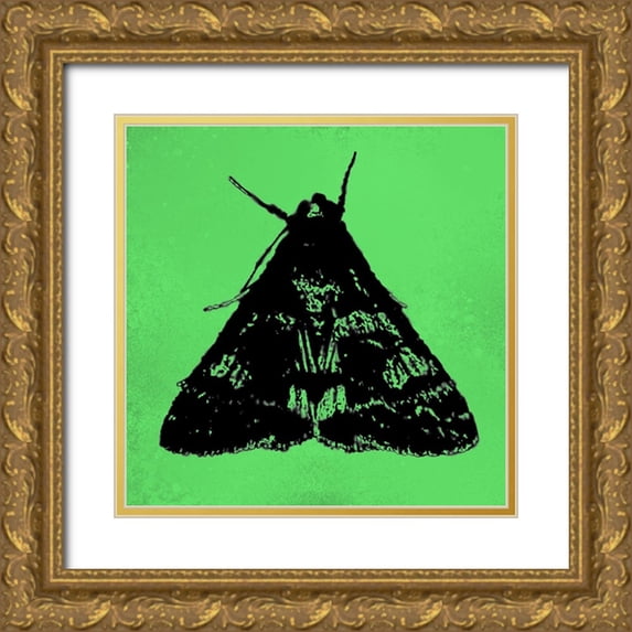 Tenoever, William 20x20 Gold Ornate Wood Framed with Double Matting Museum Art Print Titled - ColorMoods:Moth3