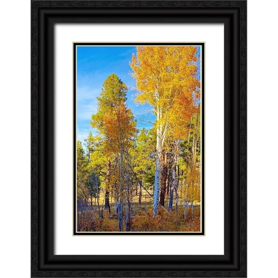 Tenoever, William 23x32 Black Ornate Wood Framed with Double Matting Museum Art Print Titled - Sunrise Park in Fall 3