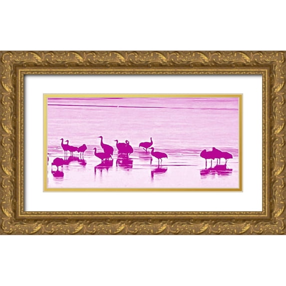 Tenoever, William 24x13 Gold Ornate Wood Framed with Double Matting Museum Art Print Titled - Sand Hill Cranes in Willcox 1b