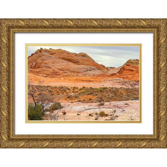 Tenoever, William 24x17 Gold Ornate Wood Framed with Double Matting Museum Art Print Titled - ValleyOfFire:BigHornSheep1