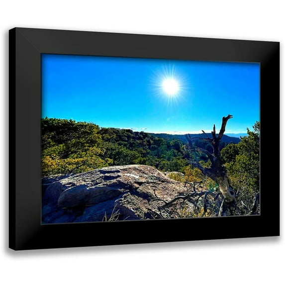 Tenoever, William 24x18 Black Modern Framed Museum Art Print Titled - Chiricahua 4
