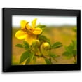 thumbnail image 1 of Tenoever, William 24x19 Black Modern Framed Museum Art Print Titled - Creosote in Bloom 1, 1 of 5