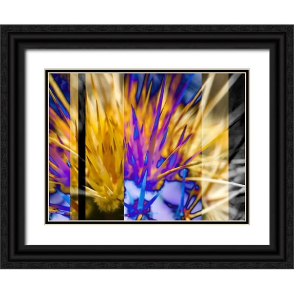 Tenoever, William 24x19 Black Ornate Wood Framed with Double Matting Museum Art Print Titled - CactusColorStripes