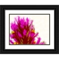 thumbnail image 1 of Tenoever, William 24x19 Black Ornate Wood Framed with Double Matting Museum Art Print Titled - Owl Clover in Bloom 2, 1 of 4