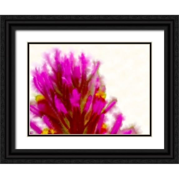 Tenoever, William 24x19 Black Ornate Wood Framed with Double Matting Museum Art Print Titled - Owl Clover in Bloom 2