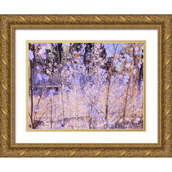 Tenoever, William 24x19 Gold Ornate Wood Framed with Double Matting Museum Art Print Titled - Color Mood-Aspen 2