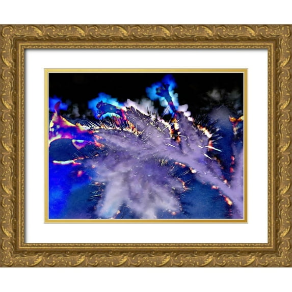 Tenoever, William 24x19 Gold Ornate Wood Framed with Double Matting Museum Art Print Titled - ColorMoods:ScorpionWeed