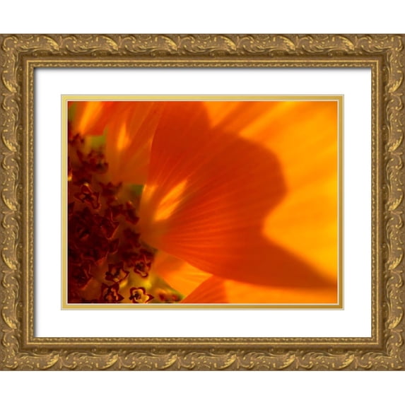 Tenoever, William 24x19 Gold Ornate Wood Framed with Double Matting Museum Art Print Titled - Sunflower1