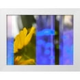 thumbnail image 1 of Tenoever, William 24x19 White Modern Wood Framed Museum Art Print Titled - Stripes: Brittle Bush, 1 of 4