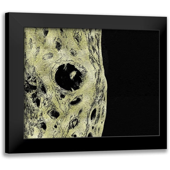 Tenoever, William 24x20 Black Modern Framed Museum Art Print Titled - Gold Type: Cholla Bones 1