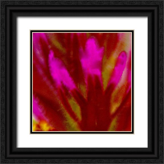 Tenoever, William 26x26 Black Ornate Wood Framed with Double Matting Museum Art Print Titled - Owl Clover in Bloom 4