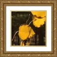 thumbnail image 1 of Tenoever, William 26x26 Gold Ornate Wood Framed with Double Matting Museum Art Print Titled - Aspens In The Fall 12, 1 of 4