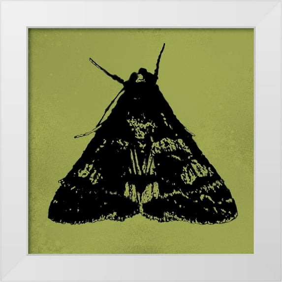 Tenoever, William 26x26 White Modern Wood Framed Museum Art Print Titled - ColorMoods:Moth7