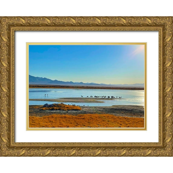 Tenoever, William 32x24 Gold Ornate Wood Framed with Double Matting Museum Art Print Titled - Wilcox-Sandhill Cranes 3