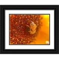 thumbnail image 1 of Tenoever, William 32x25 Black Ornate Wood Framed with Double Matting Museum Art Print Titled - BeeOnSunflower2, 1 of 4
