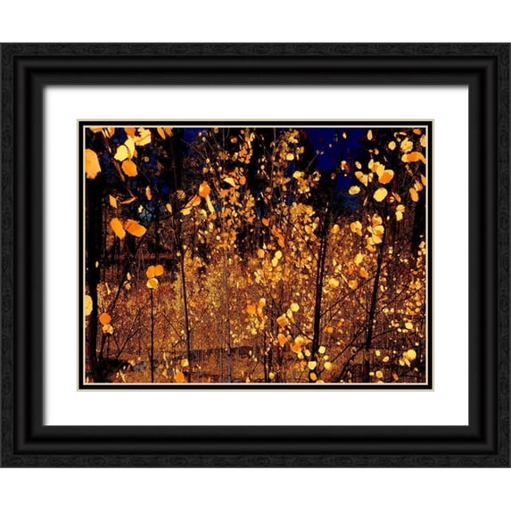Tenoever, William 32x25 Black Ornate Wood Framed with Double Matting Museum Art Print Titled - Color Mood-Aspen 1