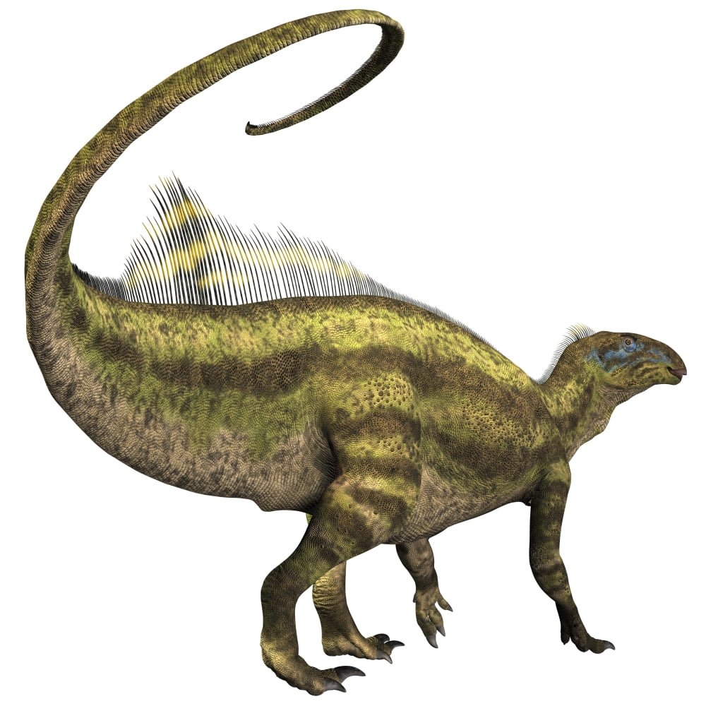 Tenontosaurus dinosaur from the Cretaceous Period Canvas Art - Corey FordStocktrek Images (29 x 29)