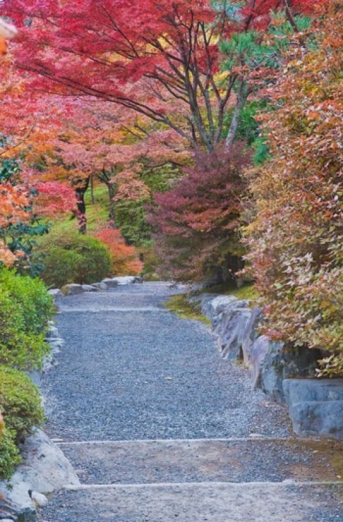 Tenryuji Temple Garden Sagano Arashiyama Kyoto Japan Canvas Art - Rob Tilley DanitaDelimont (12 x 18)