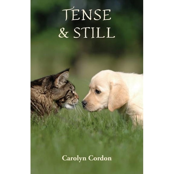 Tense & Still, (Paperback)
