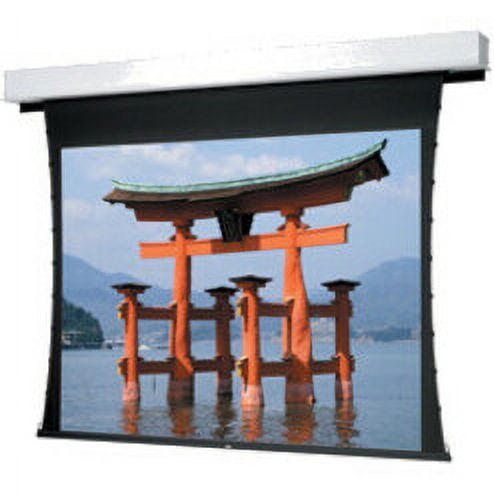 Tensioned Advantage Deluxe Electrol Projection Screen