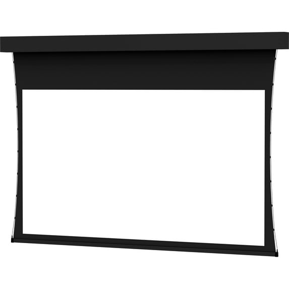 Tensioned Professional Electrol Projection Screen